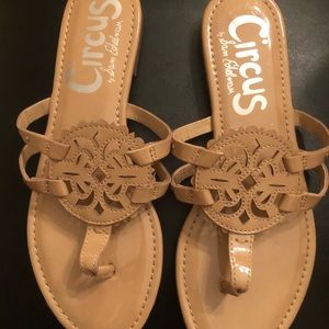 Circus by Sam Edelman Women's Canyon Flat Sandal